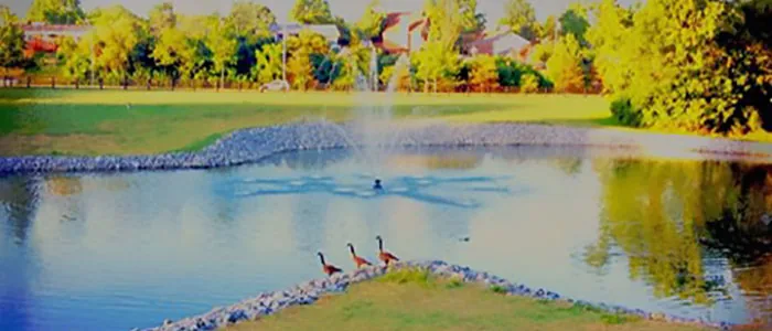 A Waterford pond with a fountain and a lakeside pavilion shaded by mature trees, a gathering spot for neighborhood events